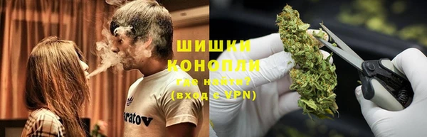 тгк Белокуриха