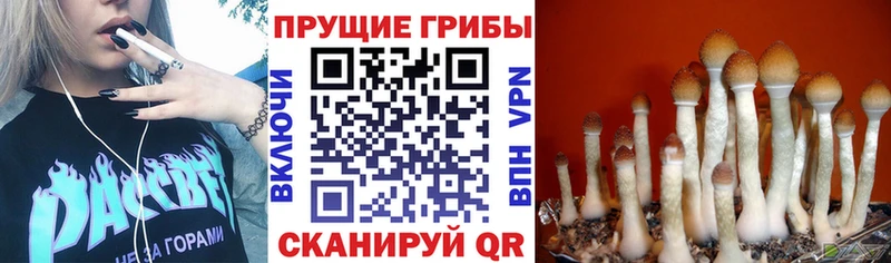 Псилоцибиновые грибы Magic Shrooms  Облучье 